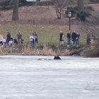 Un home salta a un llac gelat de Nova York per rescatar un gos.