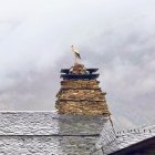 Una cigonya a Auvinyà aquest matí.