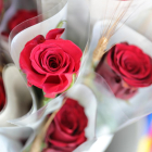 La demanda de roses ha esgotat les existències d'alguna floristeria passades les onze del matí