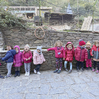 Els grups les Piruletes i els Girasols d'infantil de l'escola andorrana de Sant Julià van donar la benvinguda a la castanyada collint castanyes dels castanyers de Santa Coloma.