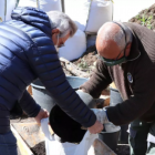 Veïns recollint compost