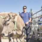 Un ramader controlant una vaca, ahir a Canillo.