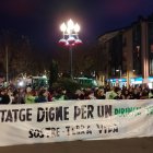 Manifestació Pirineu Viu la Seu