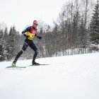 Esteve als 10 quilòmetres individuals a Lillehammer.