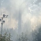 Un dels sensors en un bosc.