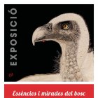 'Essències i mirades del bosc'