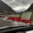 El camió que ha perdut la càrrega de cervesa a l'N-145