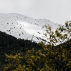 Vista del Camp de Claror.