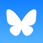 Bluesky redissenya la cerca i afegeix les reaccions en els missatges directes