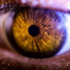 Una pupil·la.