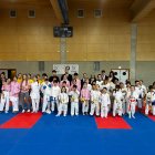 Participants a Ordino.