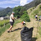 Voluntaris arrencant les plantes.