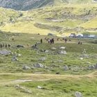Els presumptes contrabandistes al Pas