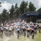 Copa del Món a Pal.