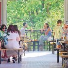 Els amics van i venen i és molt complicat poder tenir relacions intenses i duradores