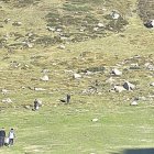 Contrabandistes a la muntanya davant del Pas.