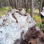 Gravat rupestre de la muntanya de Rep, a Encamp, documentat per Patrimoni