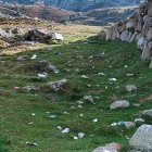 Brutícia escampada pels contrabandistes.