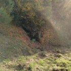 Un dels indrets on es vol plantar l'hort