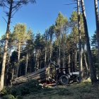 Treballs de gestió forestal per millorar la biodiversitat, reduir el risc d’incendis i donar suport a la ramaderia