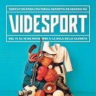 Videsport