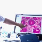 La unitat ha atès 288 consultes externes.