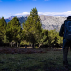 El bosc de Solobre, a la parròquia d’Andorra la Vella.