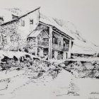 Dibuixos amb tinta i canya