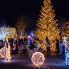 Els primers visitants després de l’acte d’inauguració, ahir.
