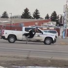 Persecució policial d'un estruç fugat al Canadà.