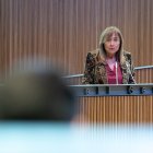 Marsol dirigint-se a Pere Baró, ahir al Consell.