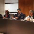 Albós i Dolsa durant la sessió de consell de comú.