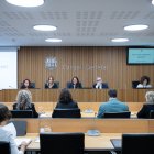 Mariona Cadena va presentar el projecte de llei als consellers.