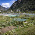 Els horts de la Margineda.