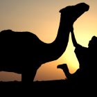 El camell és un aliat indispensable per a la supervivència dels pobles nòmades del Sàhara.