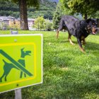 Un total de 37 expedients han estat per infraccions relacionades amb la tinença de gossos.