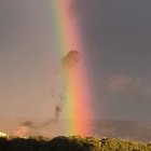 Bandada d'estornins sobrevolen el cel d'Osca.