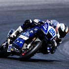 Cardelús, a Phillip Island.