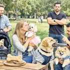 La sobreprotecció dels animals de companyia sol portar associats problemes de conducta.