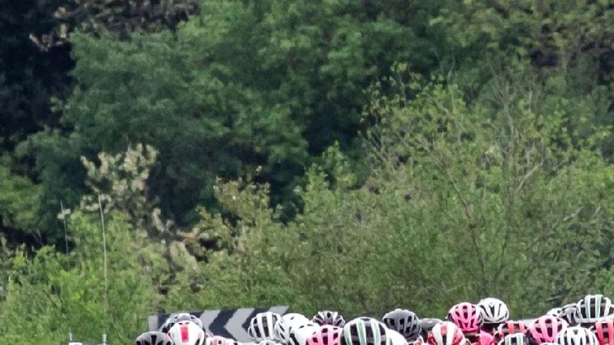 Regada, al centre durant la prova.