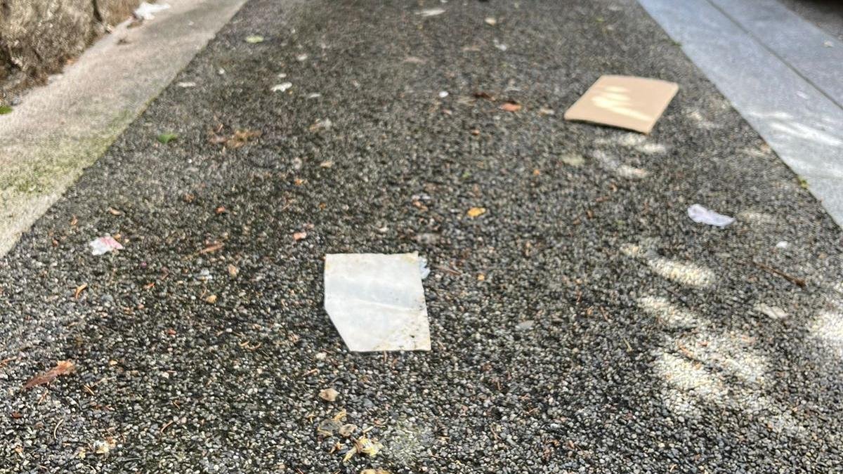 Brutícia al carrer Esteve Dolsa de la capital
