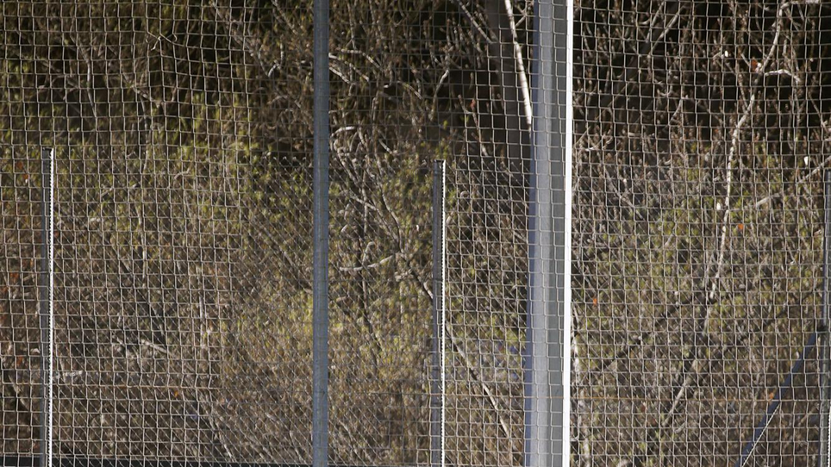 Els jugadors de la UE celebrant un gol.