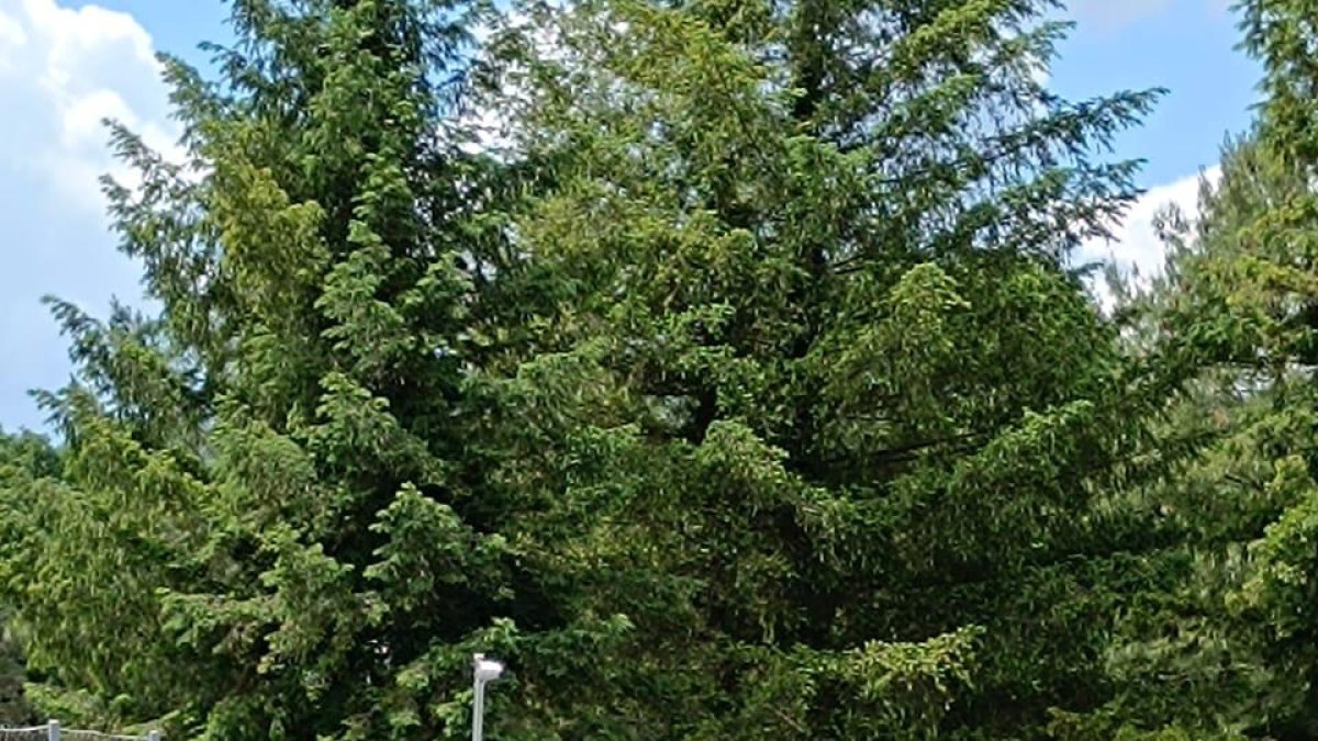 Jiménez, ahir a Eslovènia.