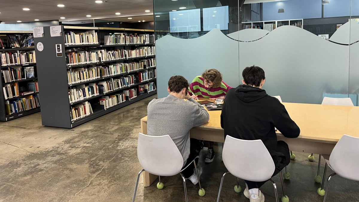 Estudiants a la biblioteca comunal de la Massana