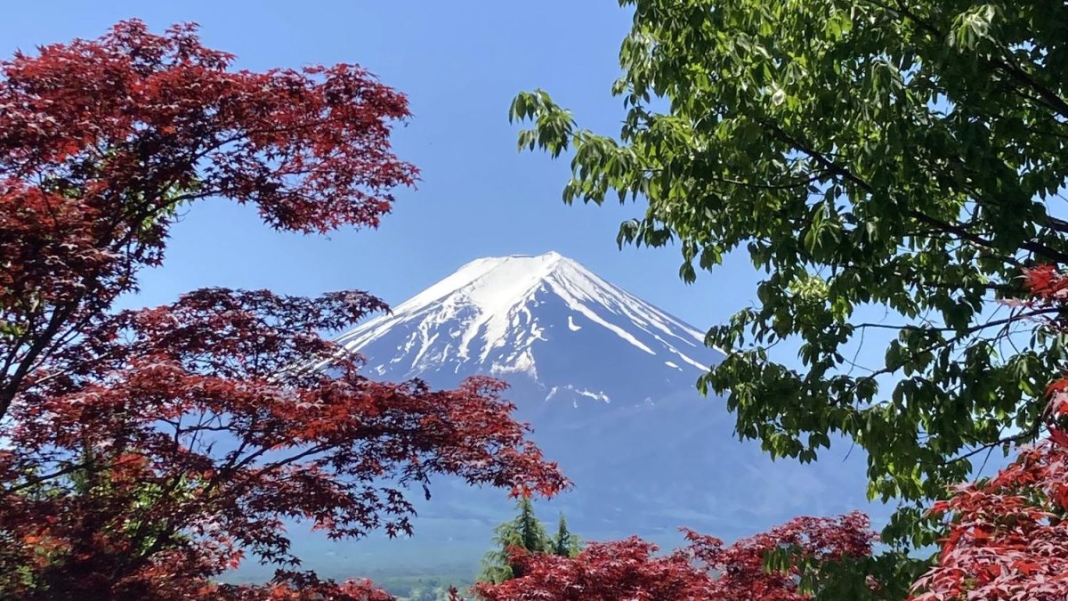 Vistes del Mont Fuji des de la Chureito Pagoda