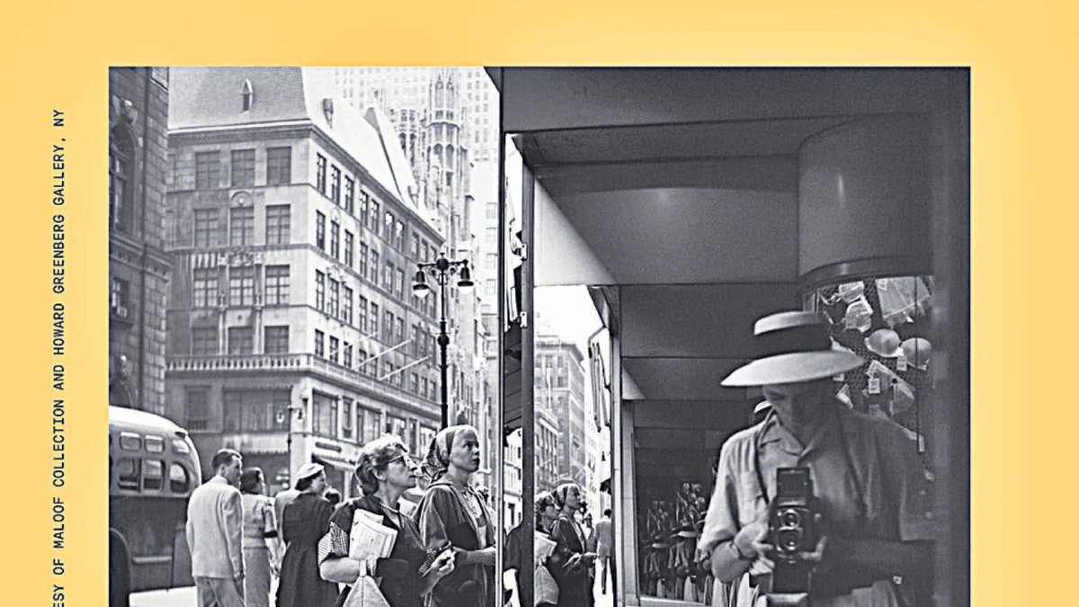 Obra de Maier, pròxima artista exposada.