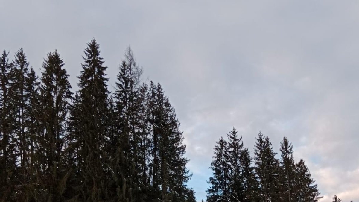 Carla Mijares, en el reconeixement de la pista a Flachau.