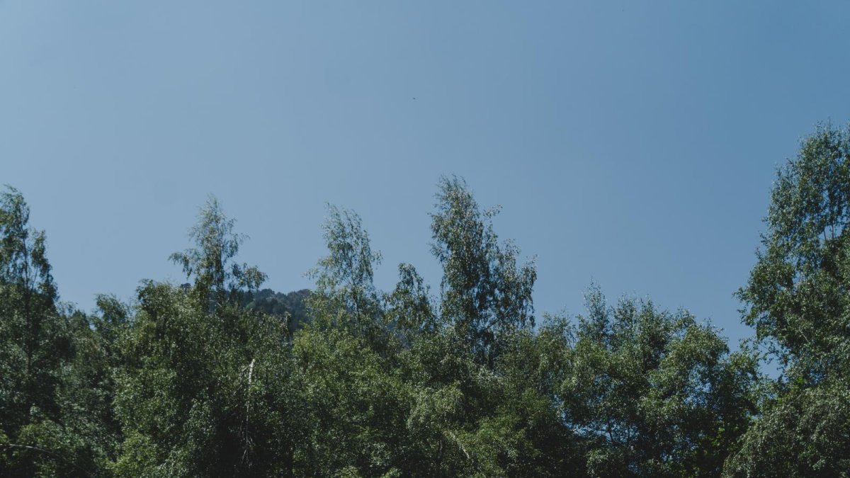 Travessa ciclista d'Andbike la Massana