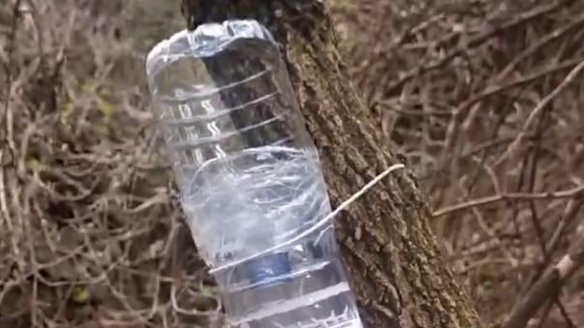 Les trampes que ha preparat el cos