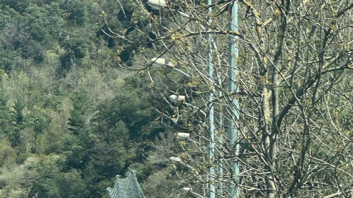 L'accident a la General 1 davant el centre comercial Epizen.